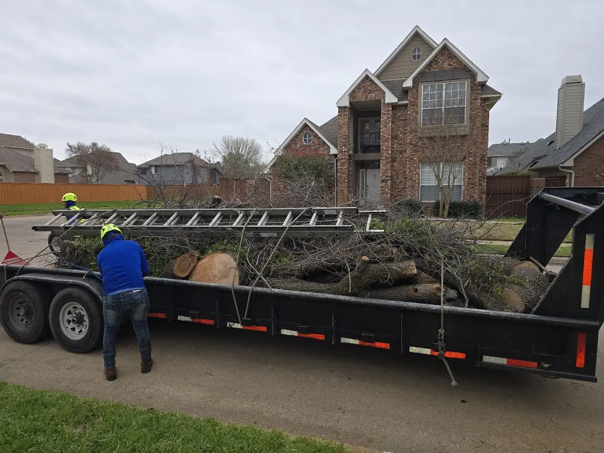 Expert Tree Fertilization with proper safety equipment in Hammond